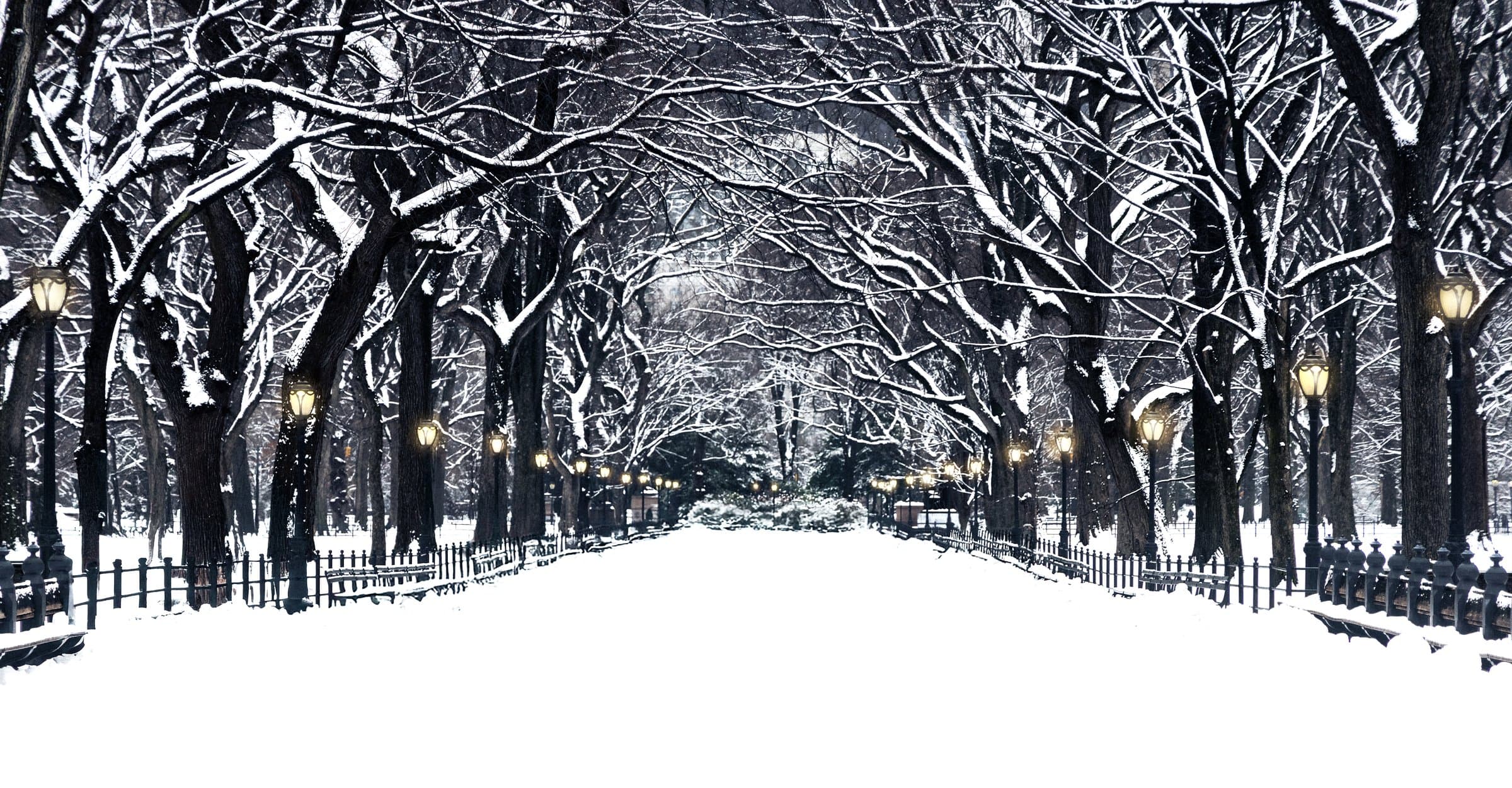 Snow-covered Central Park Mall photographed by Daniel Montero